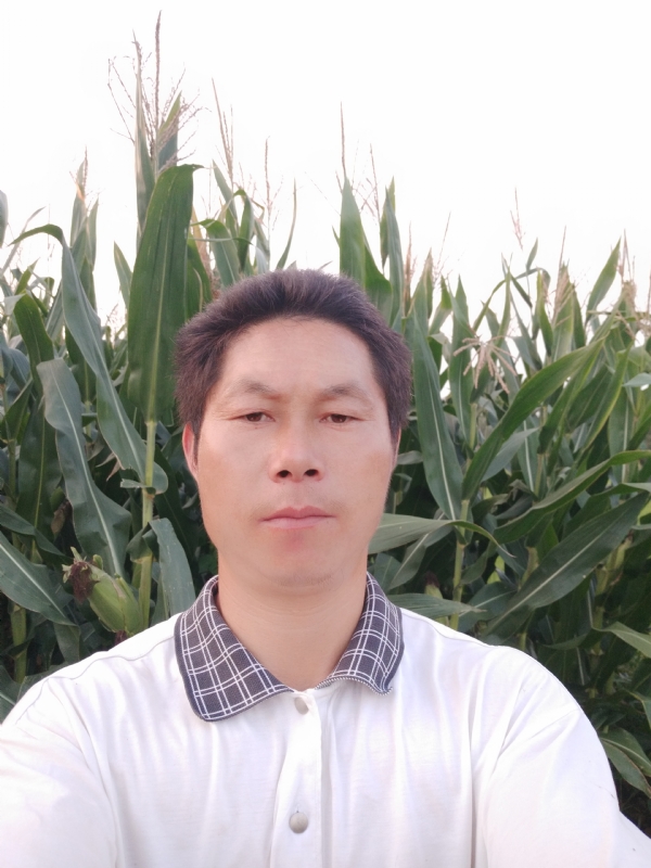 四海游龙的第一张照片--新乡相亲服务中心