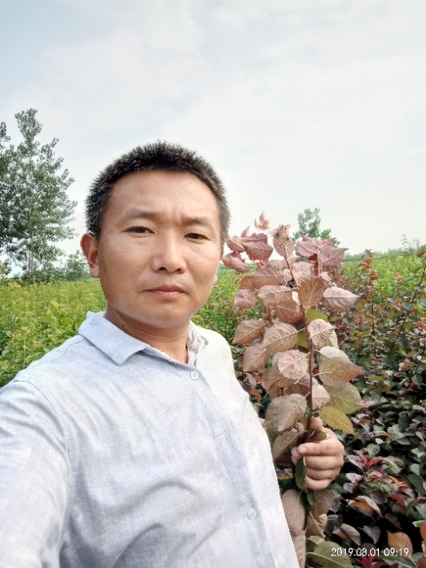 孩子爸的第二张照片--新乡相亲服务中心