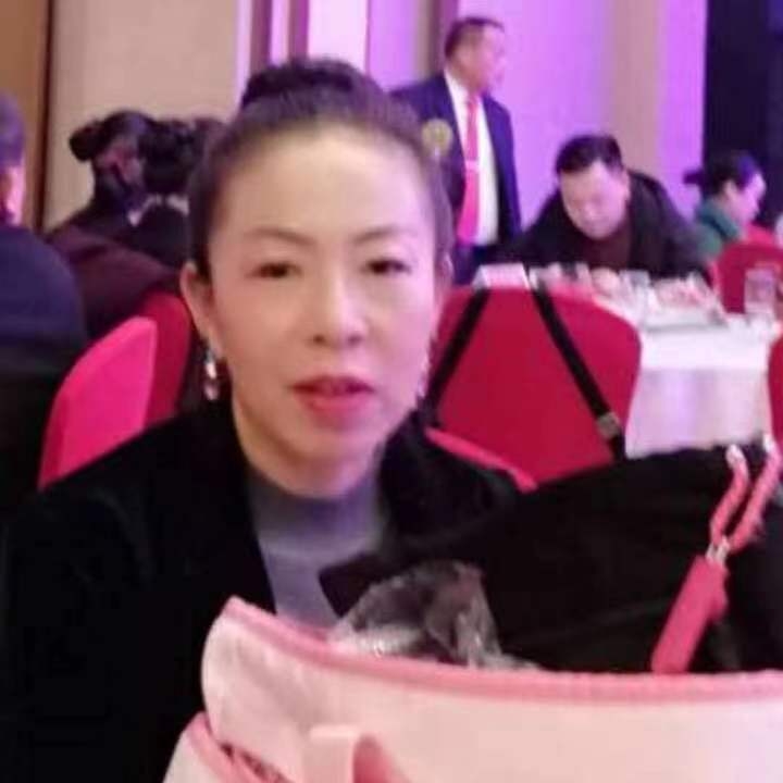 中秋桂花玉兔的第四张照片--新乡相亲服务中心